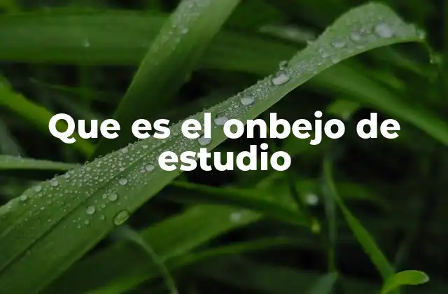 Que es el Onbejo de Estudio