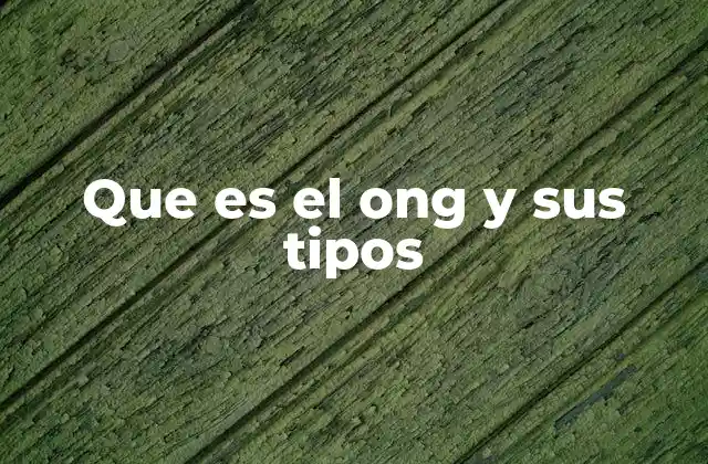 Que es el Ong y Sus Tipos