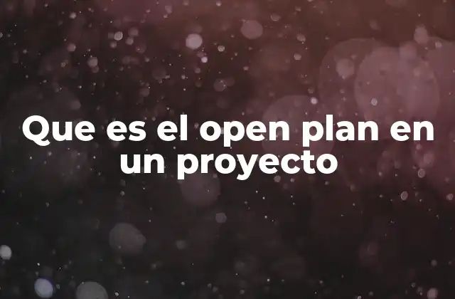 Que es el Open Plan en un Proyecto