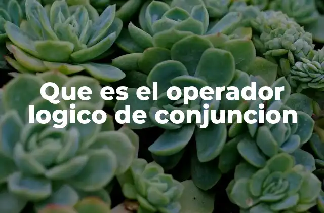 Que es el Operador Logico de Conjuncion