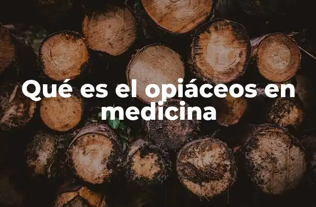 Qué es el Opiáceos en Medicina