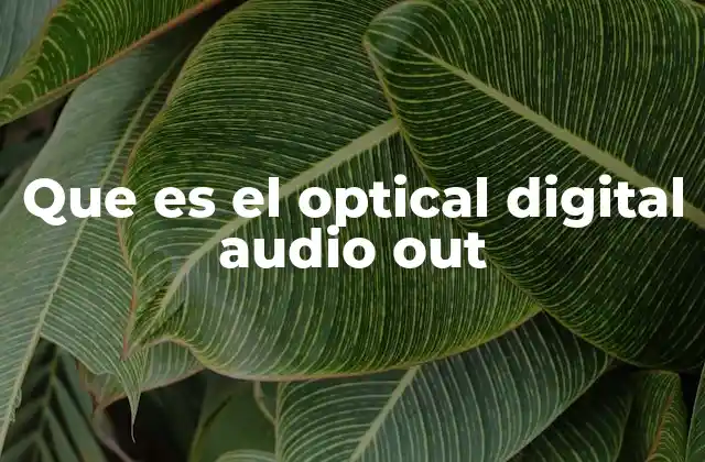 Que es el Optical Digital Audio Out