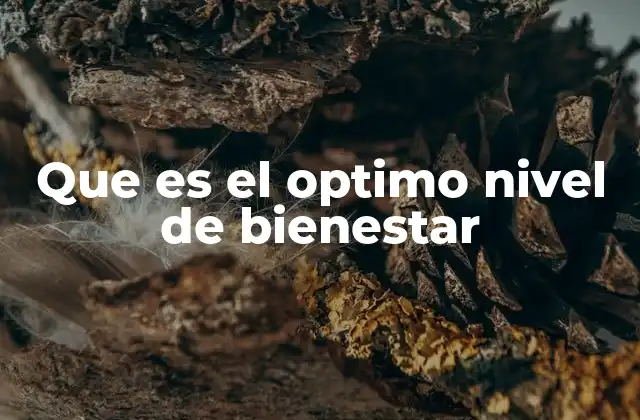 Que es el Optimo Nivel de Bienestar
