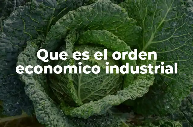 Que es el Orden Economico Industrial 2 El auge de la producción en masa