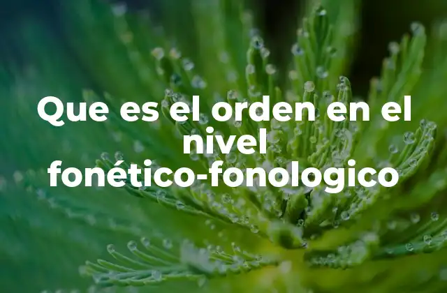 Que es el Orden en el Nivel Fonético-fonologico