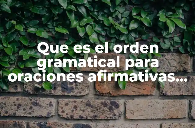 Que es el Orden Gramatical para Oraciones Afirmativas en Ingles