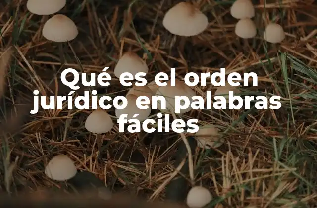 Qué es el Orden Jurídico en Palabras Fáciles
