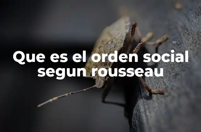 Que es el Orden Social Segun Rousseau