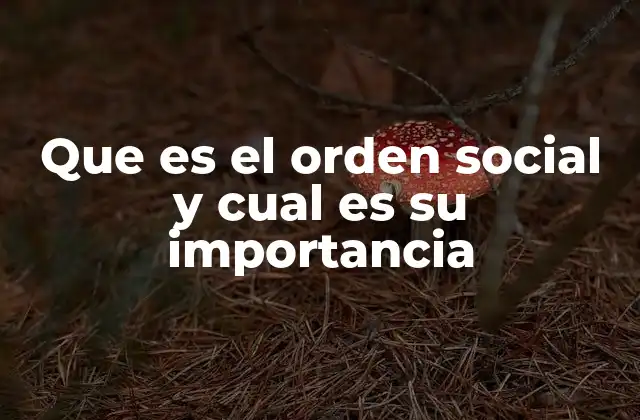 Que es el Orden Social y Cual es Su Importancia