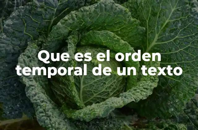 Que es el Orden Temporal de un Texto