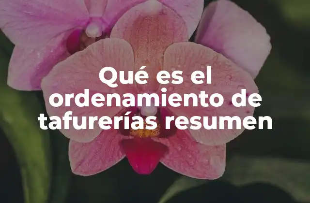 Qué es el Ordenamiento de Tafurerías Resumen