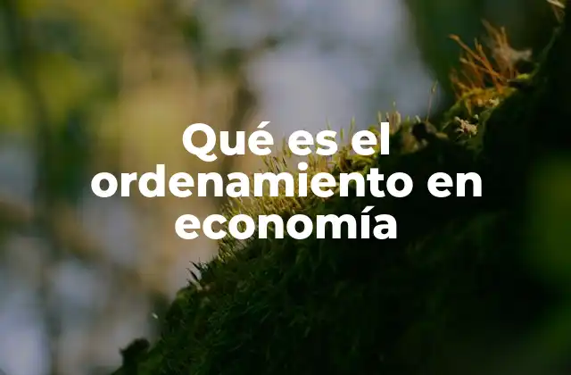 Qué es el Ordenamiento en Economía