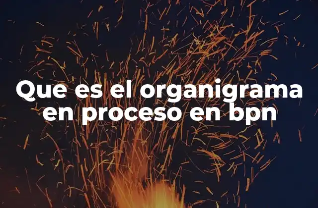 Que es el Organigrama en Proceso en Bpn