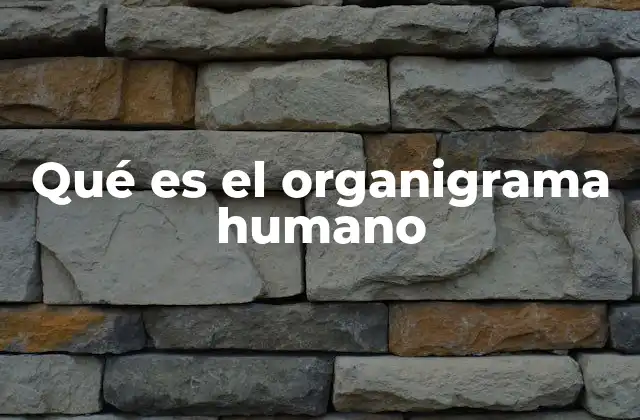 Qué es el Organigrama Humano