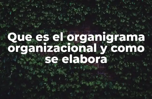 Que es el Organigrama Organizacional y como Se Elabora