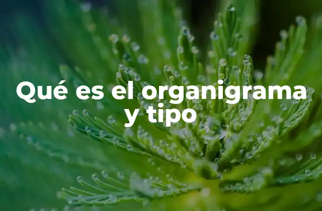 Qué es el Organigrama y Tipo