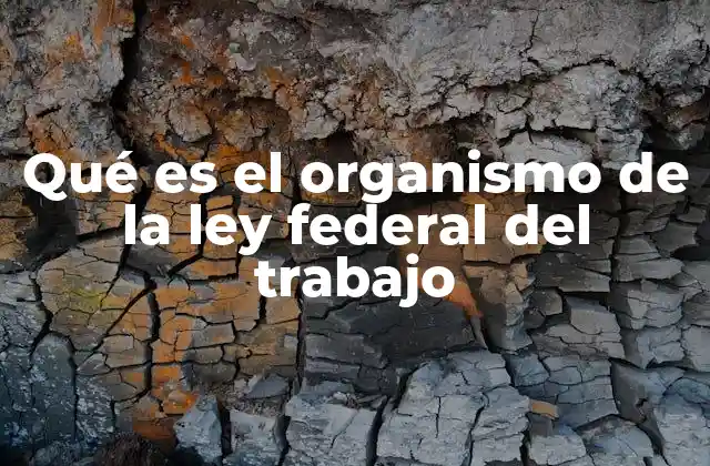 Qué es el Organismo de la Ley Federal Del Trabajo