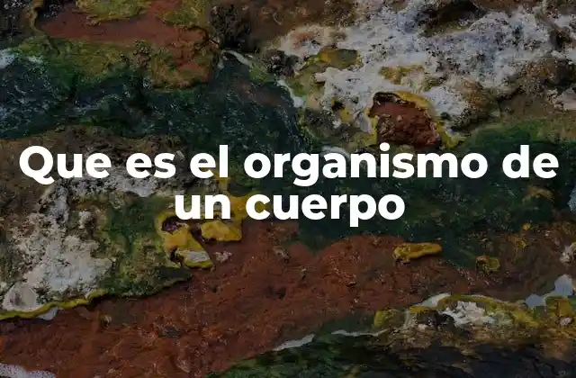 Que es el Organismo de un Cuerpo