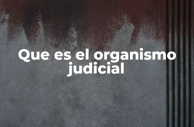 Que es el Organismo Judicial