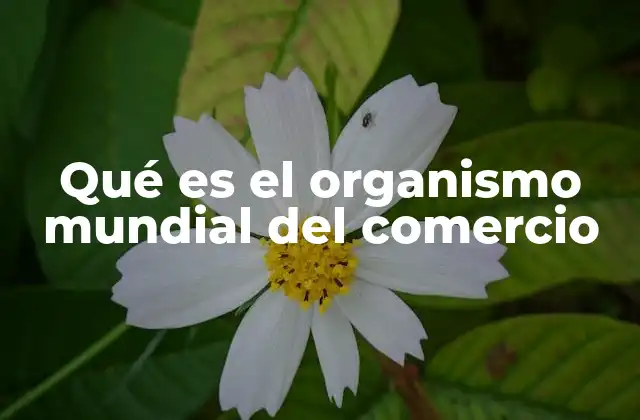 Qué es el Organismo Mundial Del Comercio