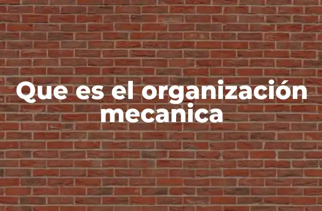 Que es el Organización Mecanica