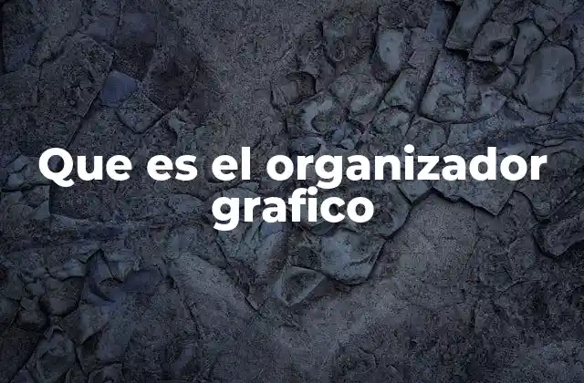 Que es el Organizador Grafico
