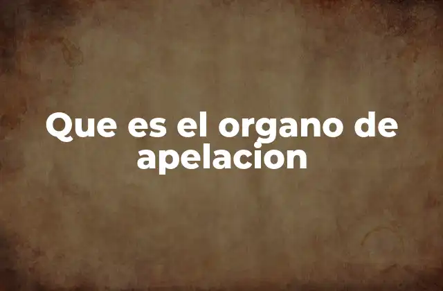 Que es el Organo de Apelacion