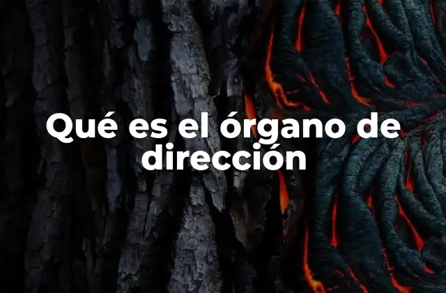 Qué es el Órgano de Dirección