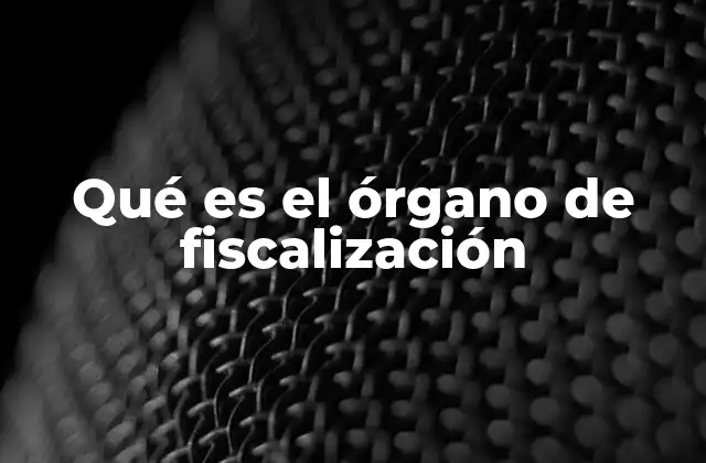 Qué es el Órgano de Fiscalización