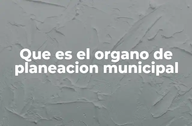 Que es el Organo de Planeacion Municipal