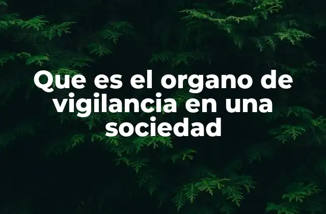 Que es el Organo de Vigilancia en una Sociedad