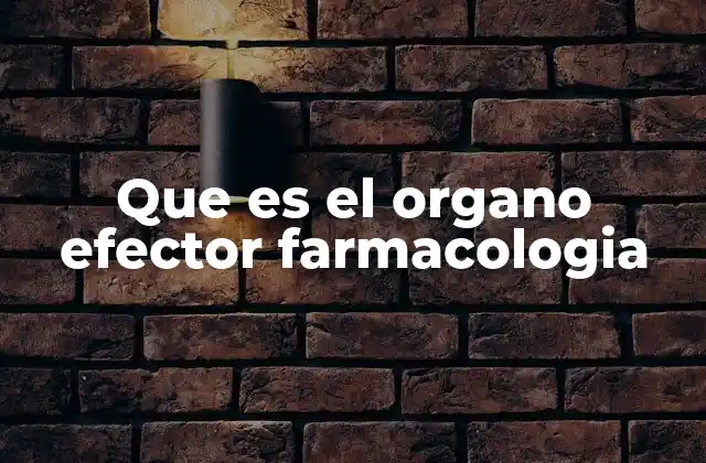 Que es el Organo Efector Farmacologia 2 La importancia del órgano efector en el diseño de medicamentos