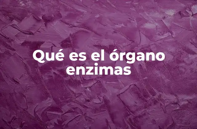 Qué es el Órgano Enzimas