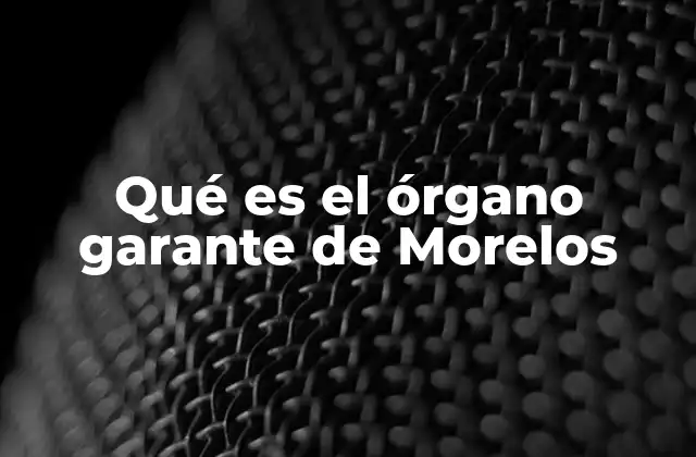 Qué es el Órgano Garante de Morelos