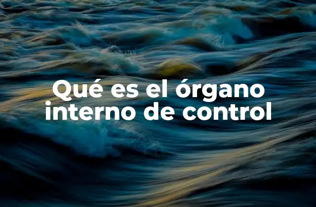 Qué es el Órgano Interno de Control