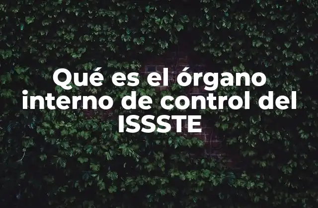 Qué es el Órgano Interno de Control Del Issste