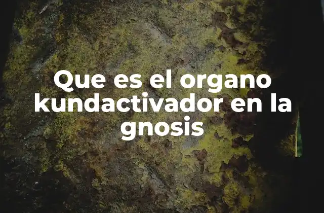 Que es el Organo Kundactivador en la Gnosis