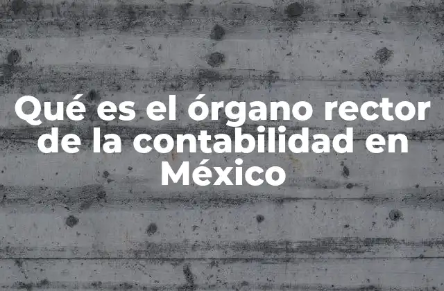 El papel del IMCP en la regulación contable