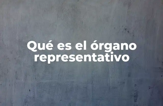 Qué es el Órgano Representativo