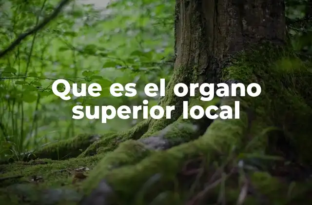 Que es el Organo Superior Local