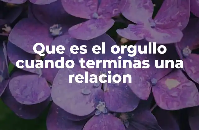 Que es el Orgullo Cuando Terminas una Relacion