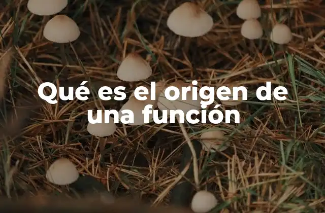 Qué es el Origen de una Función