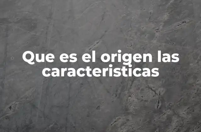 Que es el Origen las Caracteristicas