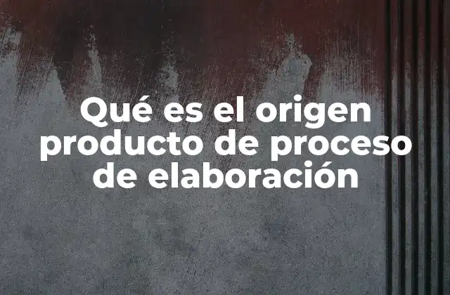 Qué es el Origen Producto de Proceso de Elaboración