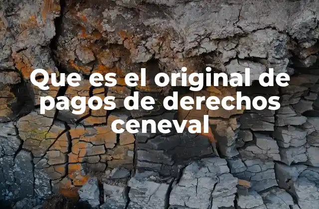 Que es el Original de Pagos de Derechos Ceneval