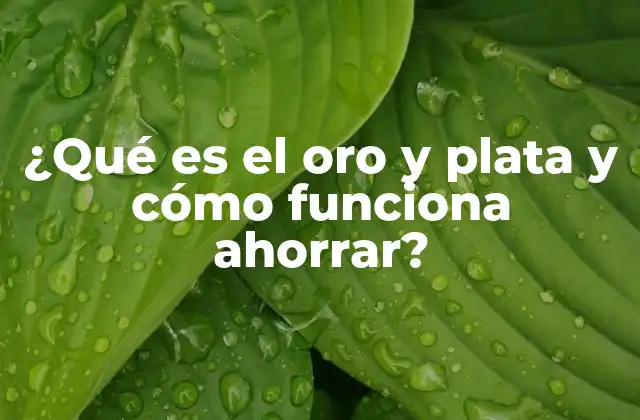 ¿qué es el Oro y Plata y Cómo Funciona Ahorrar?