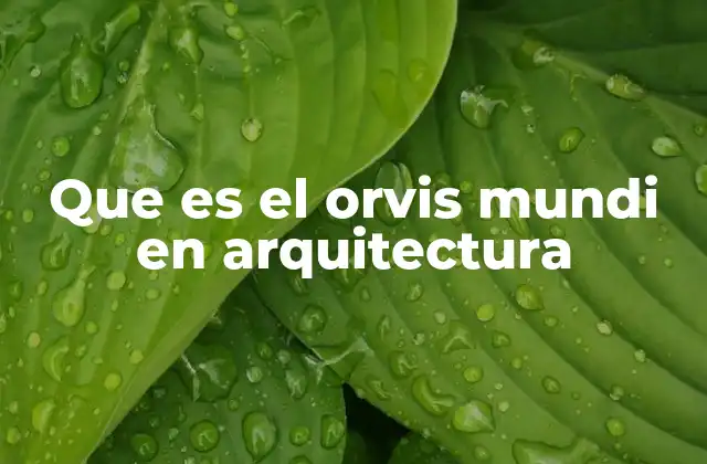 Que es el Orvis Mundi en Arquitectura