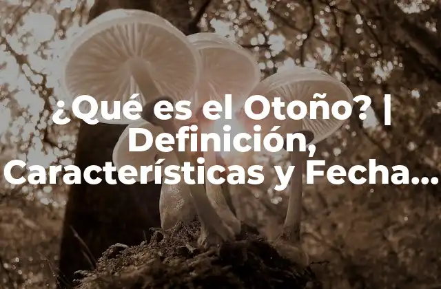 ¿qué es el Otoño? | Definición, Características y Fecha de Inicio