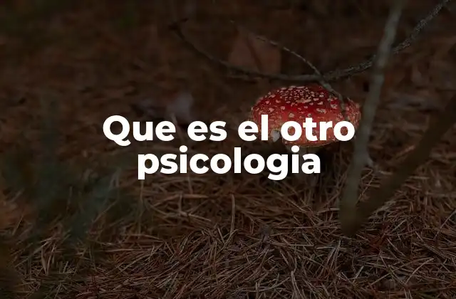Que es el Otro Psicologia