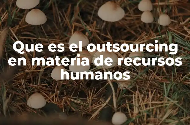 Que es el Outsourcing en Materia de Recursos Humanos